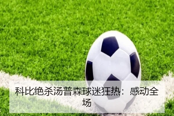 科比绝杀汤普森球迷狂热：感动全场
