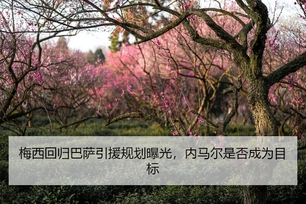 梅西回归巴萨引援规划曝光，内马尔是否成为目标
