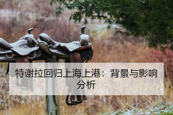 特谢拉回归上海上港：背景与影响分析（kai-yunsports）